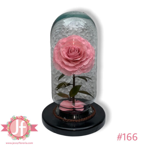 Rosa eterna rosita - Complemento a tus flores
