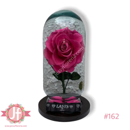 Rosa eterna fucsia - Complemento a tus flores