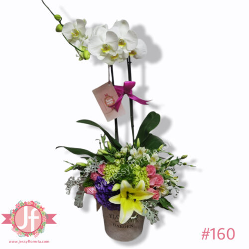 Diseño con planta de orquídea
