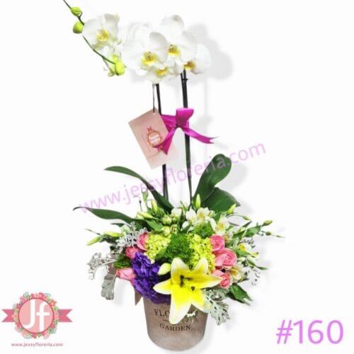 160 Diseño con planta de orquídea