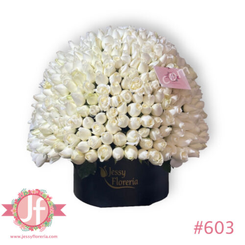 Caja redonda 250 rosas blancas