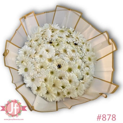 878 Maxi ramo 50 gerberas blancas