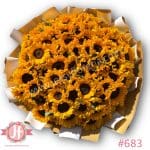 683 Ramo de 150 girasoles