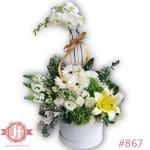 867 Caja blanca circular con planta de orquídea