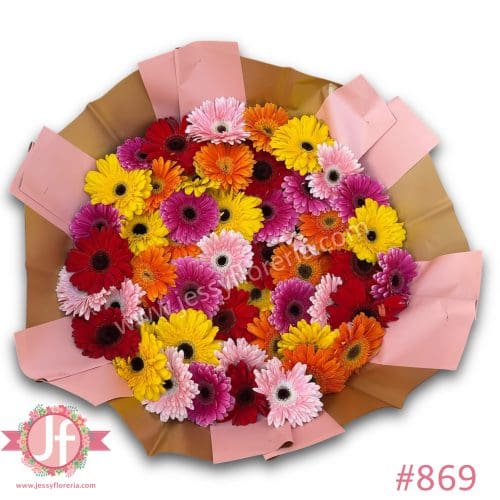 869 Ramo 50 gerberas de colores