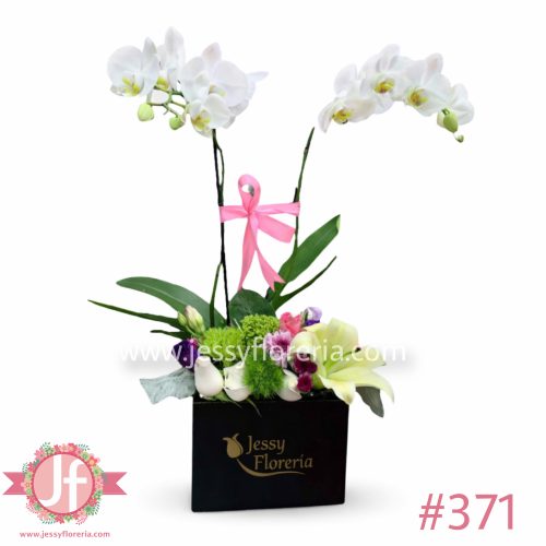 Caja negra con planta de orquídea natural y flores surtidas para envío de flores y plantas a domicilio en Guadalajara, Zapopan y zona metropolitana.