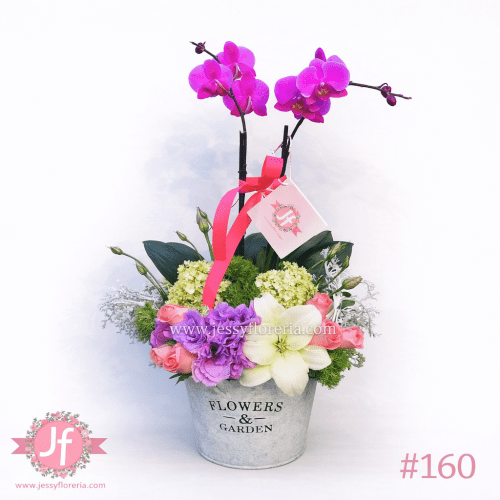 Diseño con planta de orquídea natural para envío de flores y plantas a domicilio en Guadalajara, Zapopan, Tlaquepaque y Tonalá.