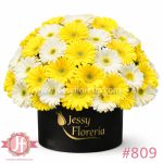 Caja negra con 50 gerberas amarillas y blancas frescas para envío de flores a domicilio en Guadalajara.