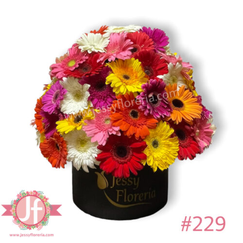 Esfera de 50 gerberas