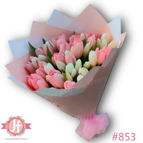 Bouquet 50 tulipanes rosas y blancos – Pedir con un día de anticipación