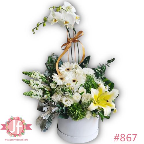 Caja blanca circular con planta de orquídea