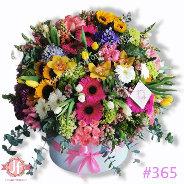 365 caja circular colorida primavera