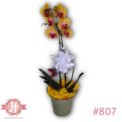 Planta orquídea en balde aluminio, mariposa y moño