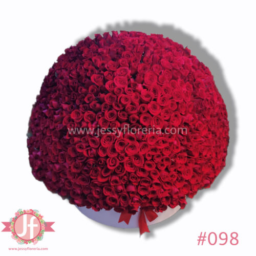Caja 600 rosas