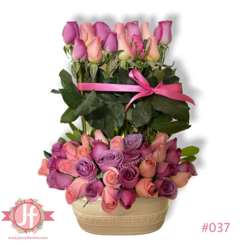 Jardín de 45 rosas rositas
