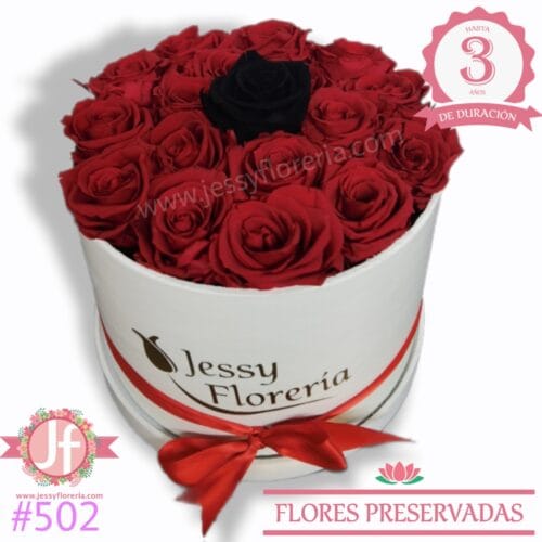 Caja 17 rosas eternas rojas y 1 rosa negra