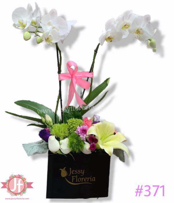 Caja negra con planta de orquídea y flor surtida