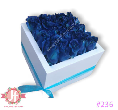 Caja con 25 rosas azules