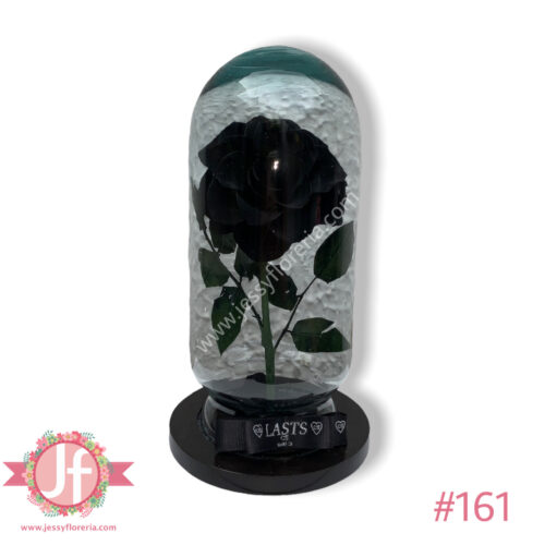 Rosa eterna negra
