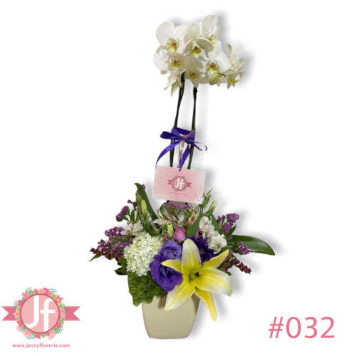 Planta de orquídea