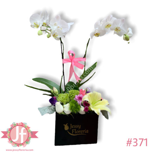 Caja negra con planta de orquídea y flor surtida
