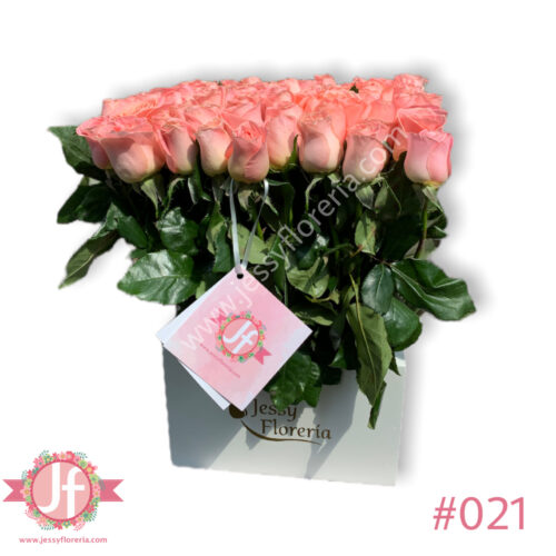 Caja de 80 rosas rositas