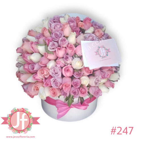 Caja circular 100 rosas rositas