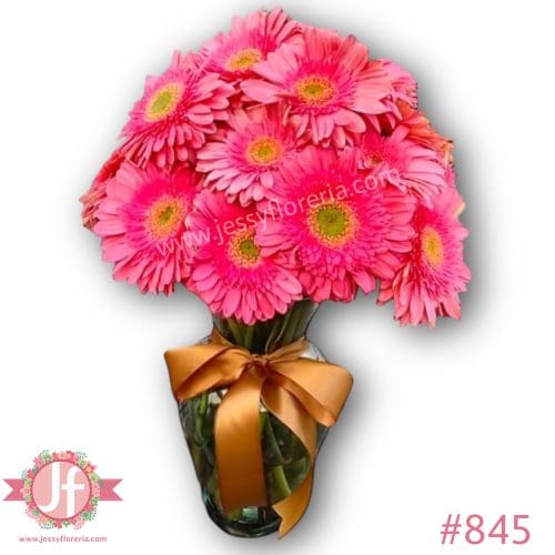 845-florero-con-24-gerberas-rosas