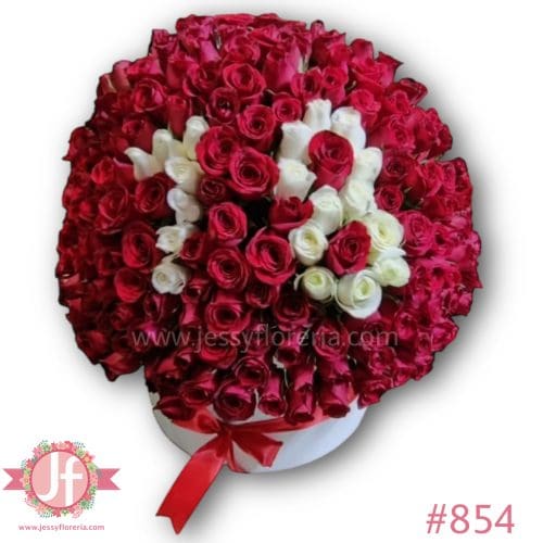 854 Caja blanca con 250 rosas rojas con números blancos
