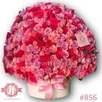 856 Caja blanca 350 rosas tonos rositas