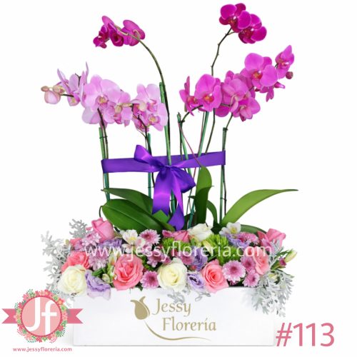 Caja con 3 plantas de orquídeas y flor surtida para envío de flores y plantas a domicilio en Guadalajara, Zapopan y zona metropolitana.