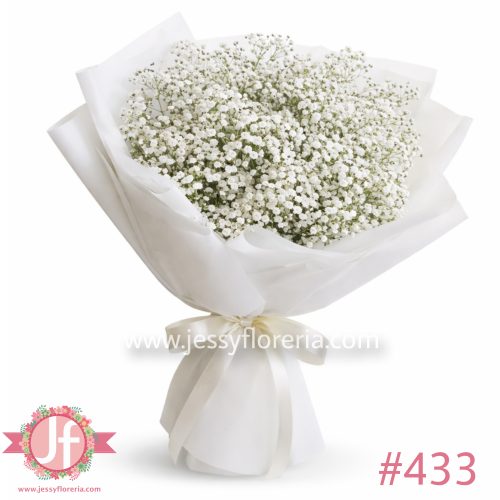 Bouquet de gypsophilia fresca para envío de flores a domicilio en Guadalajara, Zapopan y zona metropolitana.