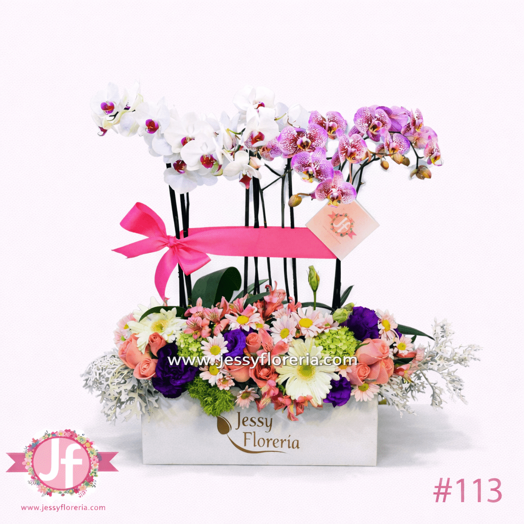Caja con 3 plantas de orquídeas y flor surtida para envío de flores y plantas a domicilio en Guadalajara, Zapopan y zona metropolitana.