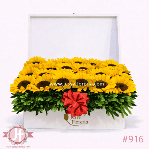 Cofre blanco con 24 girasoles frescos para envío de flores a domicilio en Guadalajara, Zapopan y zona metropolitana.