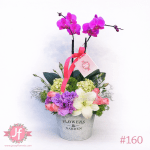 Diseño con planta de orquídea natural para envío de flores y plantas a domicilio en Guadalajara, Zapopan, Tlaquepaque y Tonalá.