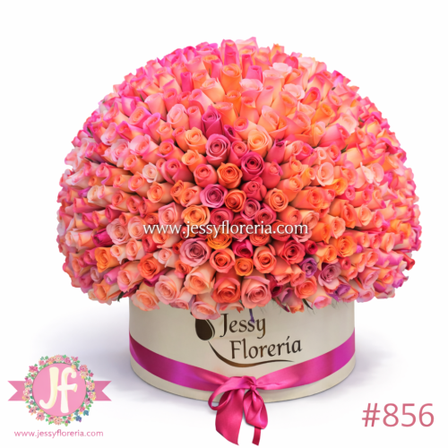 Caja blanca con 350 rosas en tonos rositas frescas para envío de flores a domicilio en Guadalajara, Zapopan, Tlaquepaque y Tonalá.