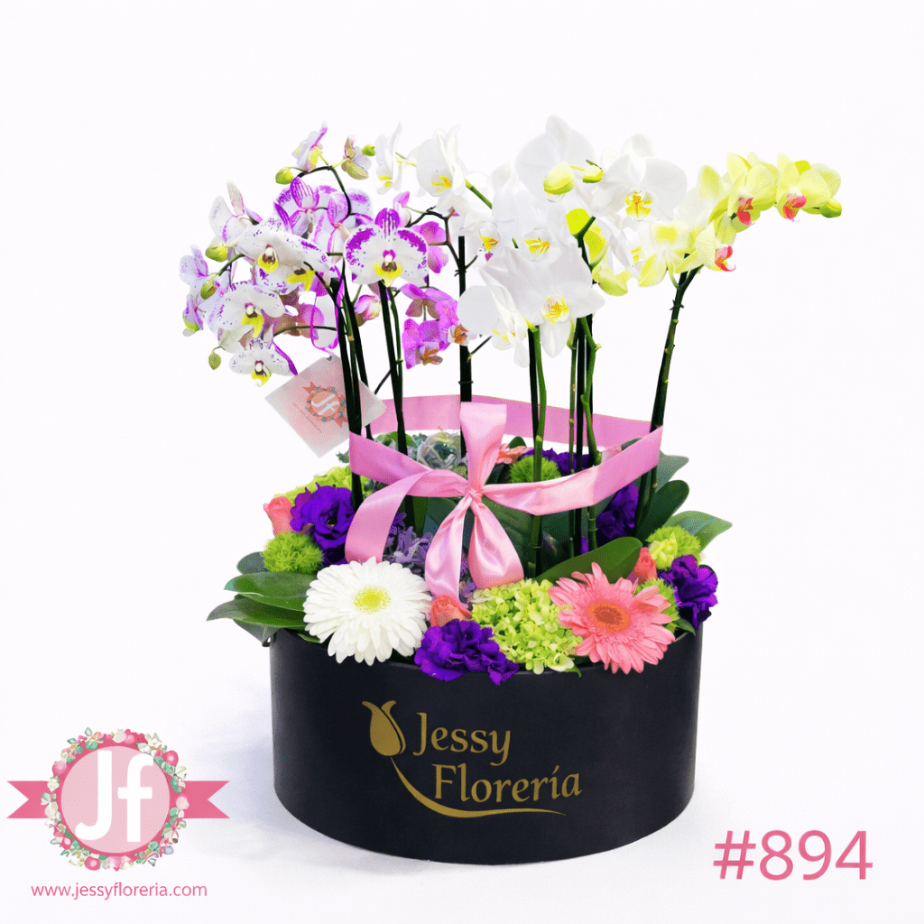 Caja negra con 4 plantas de orquídeas y flores surtidas para envío de flores y plantas a domicilio en Guadalajara, Zapopan y zona metropolitana.