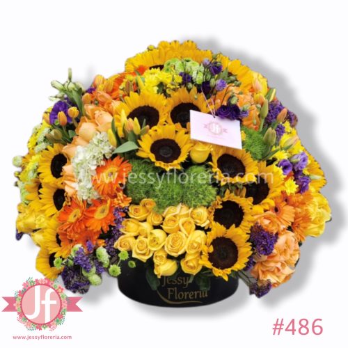 Caja circular grande primavera