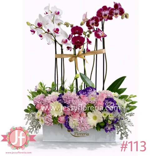 Caja con 3 plantas de orquídeas y flor surtida para envío de flores y plantas a domicilio en Guadalajara, Zapopan y zona metropolitana.
