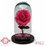 rosa eterna fucsia preservada arreglo floral en Guadalajara